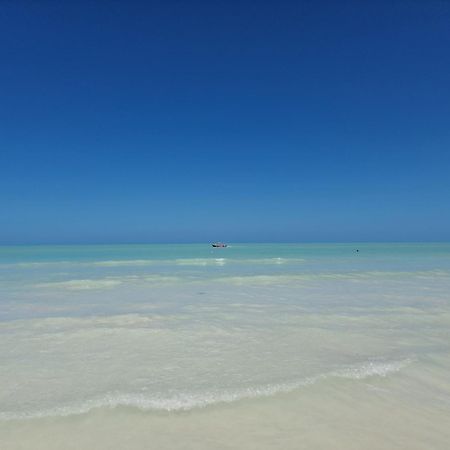 Luna Y Sol Glamping Holbox Dış mekan fotoğraf